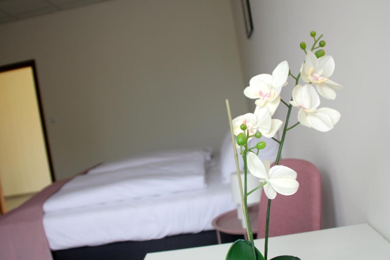 Vecsesi Rendezvenykoezpont Es Panzio Bed & Breakfast Luaran gambar